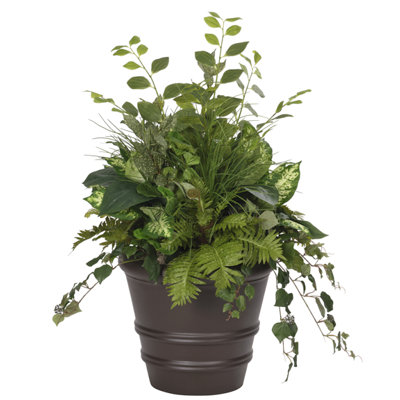 Fern Dieffenbachia, Orbit Planter Mocha