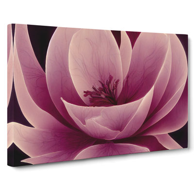Gracious Carnation Flower Abstract - Wrapped Canvas
