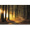 «Peeking Sun» par Martin Podt - reproduction d'art sur toile tendue