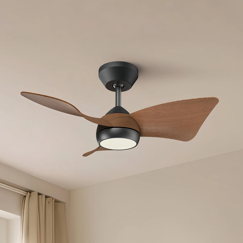 30" Small Ceiling Fan with Light & Remote – High Airflow Low Noise Reversible DC Motor – Modern Ceiling Fan for Nursery, Small Rooms, Bedroom & Kitchen
