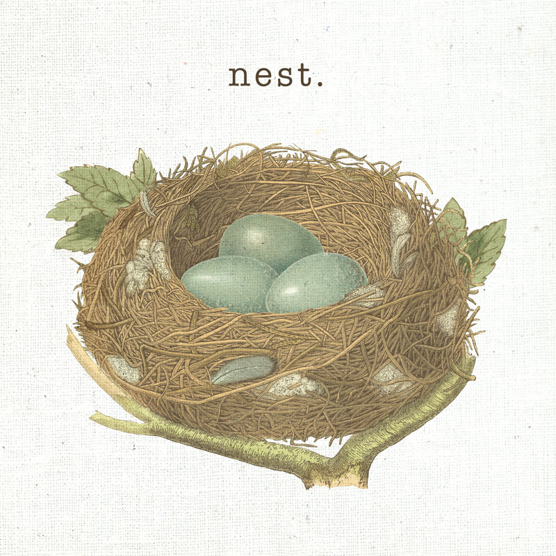 Spring Nest III Nest, H 30 po x l 30 po x P 1,25 po