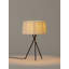 Metal Tripod Lamp