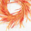 Couronne de porte 22 po Fho