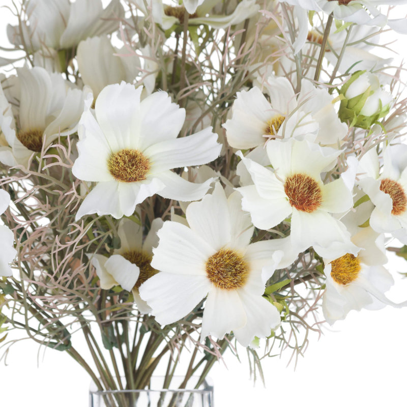 Anastasija Arrangement