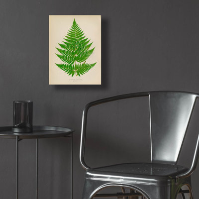 «Polybotrya Osmundacées» par Art Licensing Studio, art mural en verre acrylique