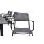 Budwig Butterfly Leaf Dining Set