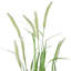 Oignon artificiel 36 "en pot