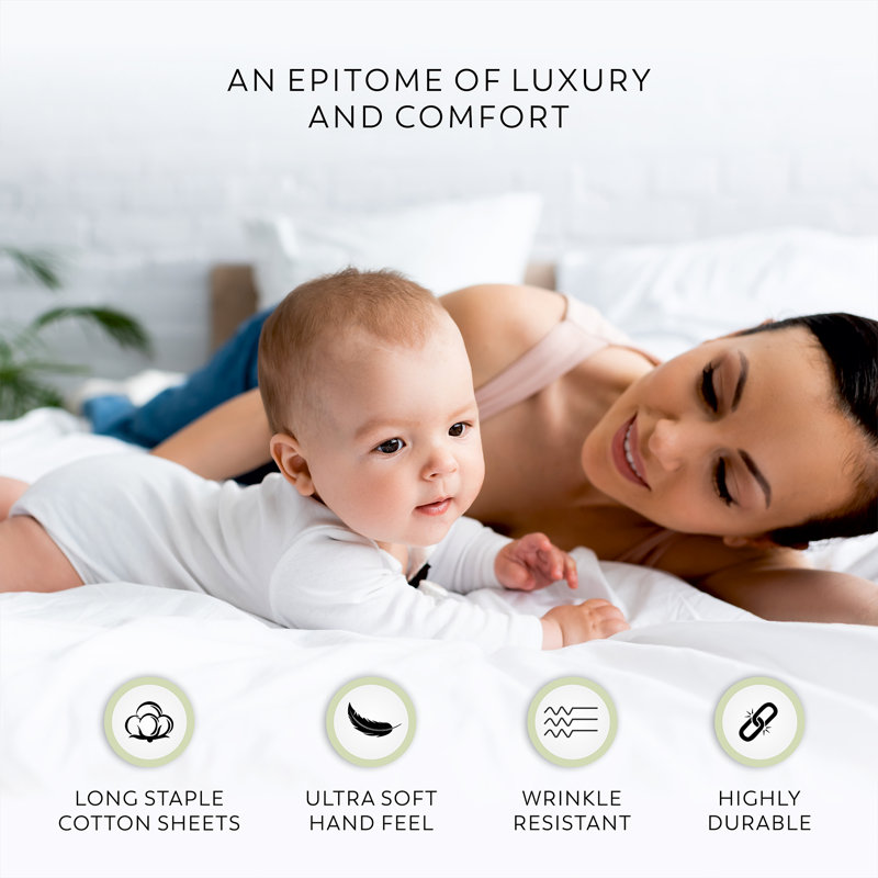Aireolux Twin Beige Cotton Polyester Microfiber Sheet Set
