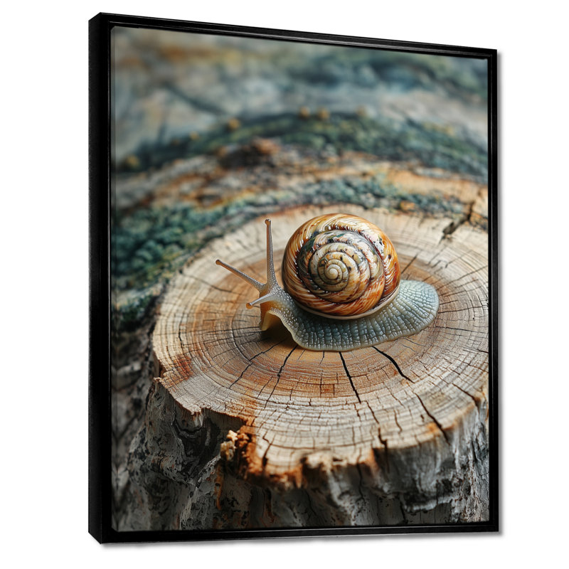 «Snail At The Mountain On Slide» - art mural grand escargot, Reproduction encadrée sans passe-partout, Noir