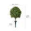 Arbre sphérique artificiel Ashwell Osmanthus -527098358-527098360
