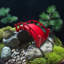Pont de jardin miniature japonais rouge 25 pouces