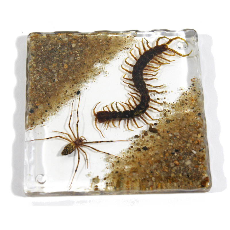 Silicone Square 1 Piece Coaster