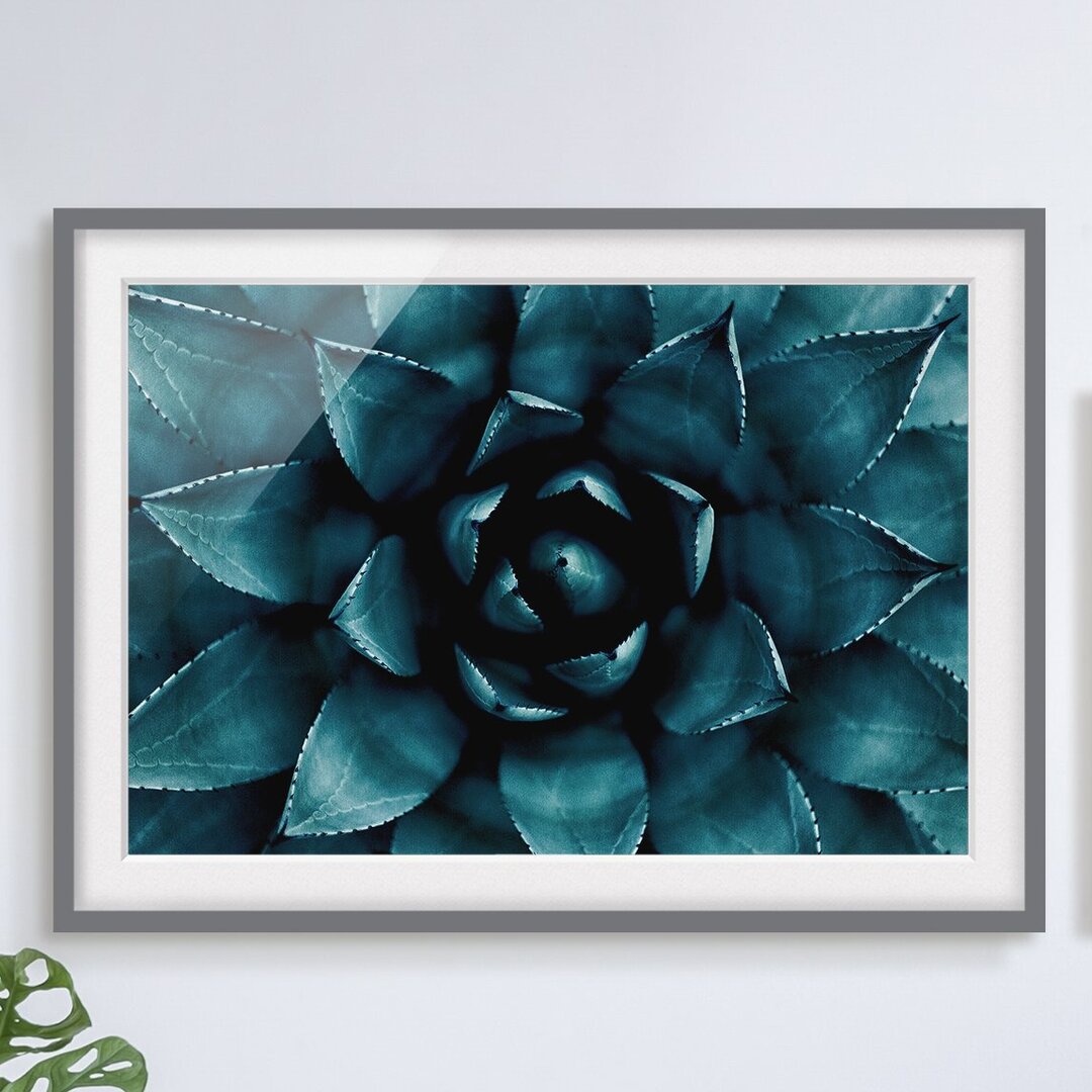 Gerahmtes Wandbild Succulent Petrol II