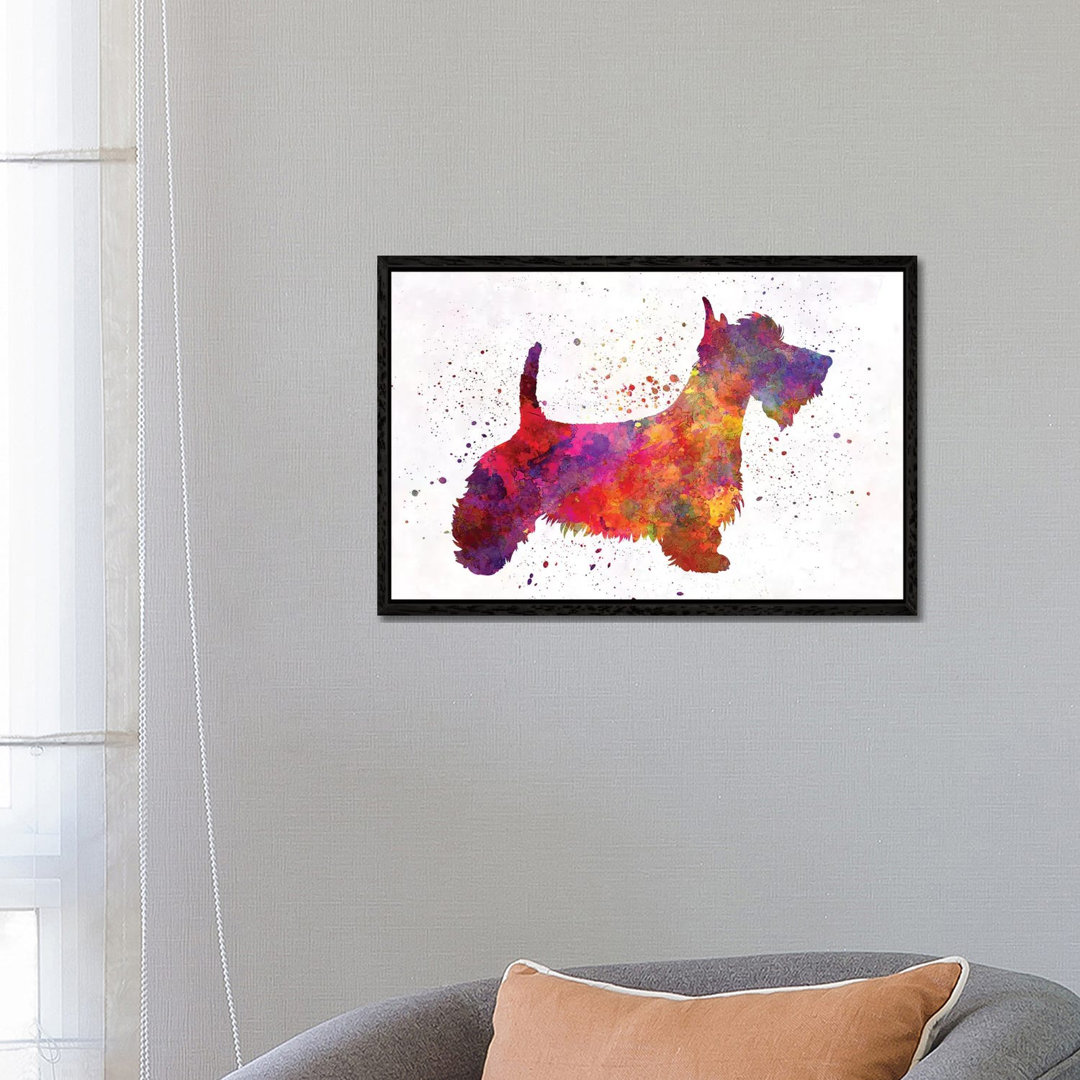 Scottish Terrier in Aquarell