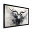 Marcellene, antilope_106406-95906713-95906716