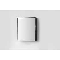 Allare 18.75'' W 19'' H Surface Framed Medicine Cabinet Mirror Adjustable