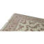 Oriental Area Rug in Ivory