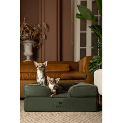 Grand lit pour chien Noah & Paw, lits orthopédiques pour chien, mousse viscoélastique infusée de gel rafraîchissant, housse intérieure, imperméable, lavable à la machine (collection de canapés en similicuir)