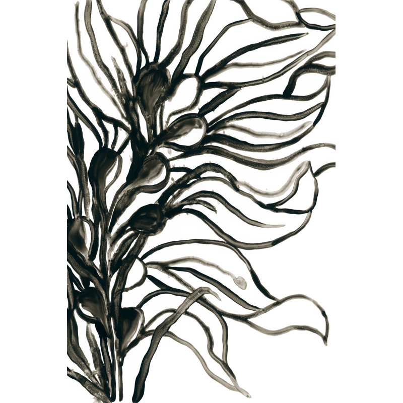 Reproduction sur toile tendue «Madox Kelp Contour IV» par June Erica Vess, H 18 po x l 12 po