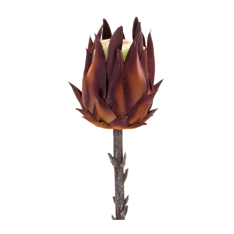Protea Sprays, Bourgogne