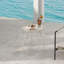 Table d'appoint en acier inoxydable Gurtrude-2044077483