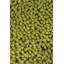 Strata Wool Area Rug in Green-1679744946
