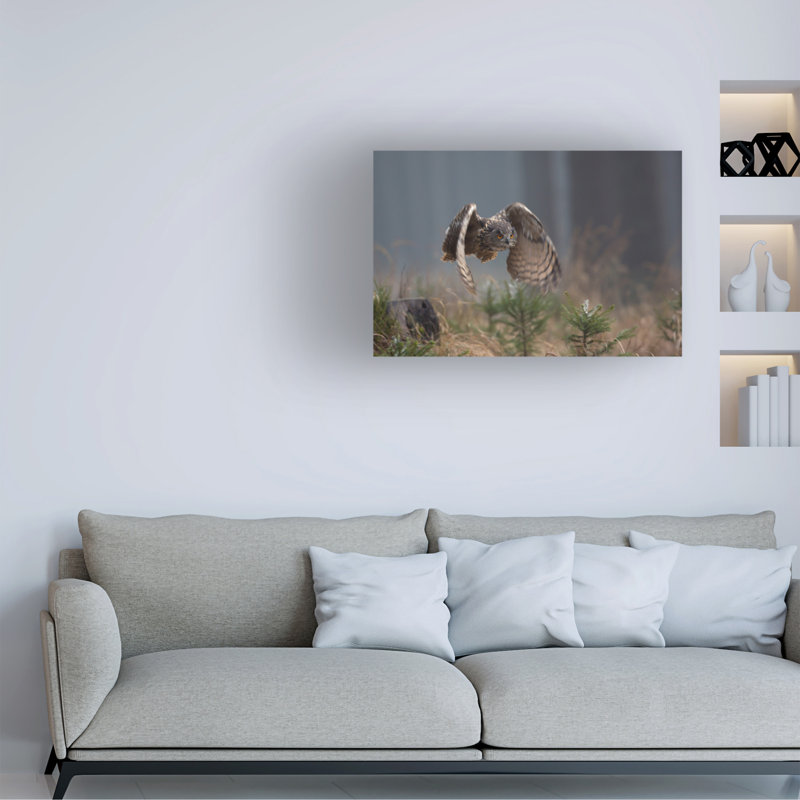 Milan Zygmunt Eurasian Eagle Owl Canvas Art, H 12 po x l 19 po