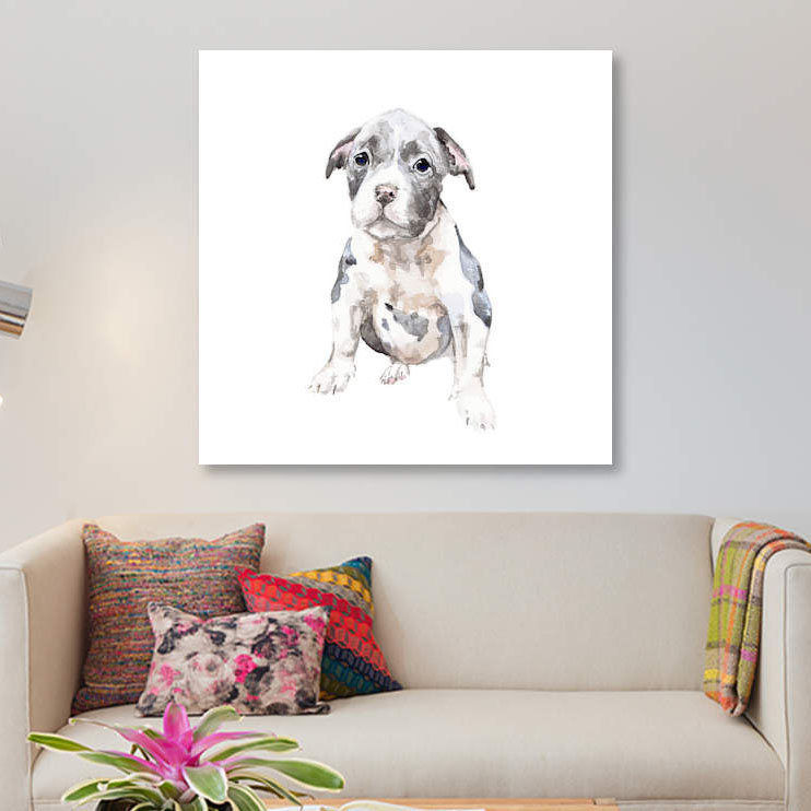 « pit bull chiot », impression sur toile, H 12 po x l 12 po x P 0,75 po