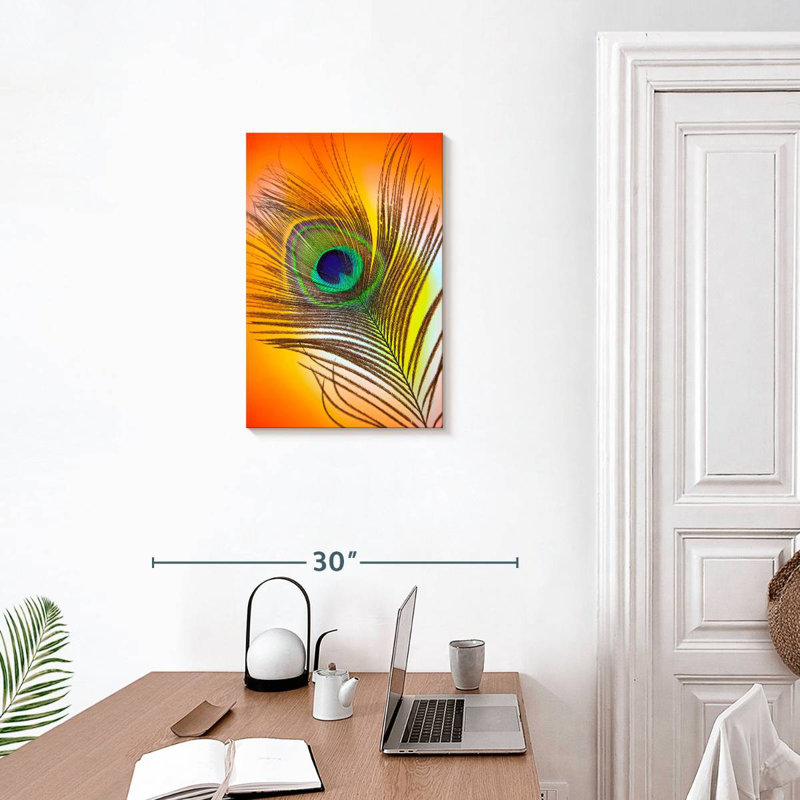 Plume de paon Kerner Glamour, H 24 po x l 16 po