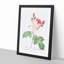 A Pink Cabbage Rose by Pierre-Joseph Redoute - Framed Print-55450962-55450963