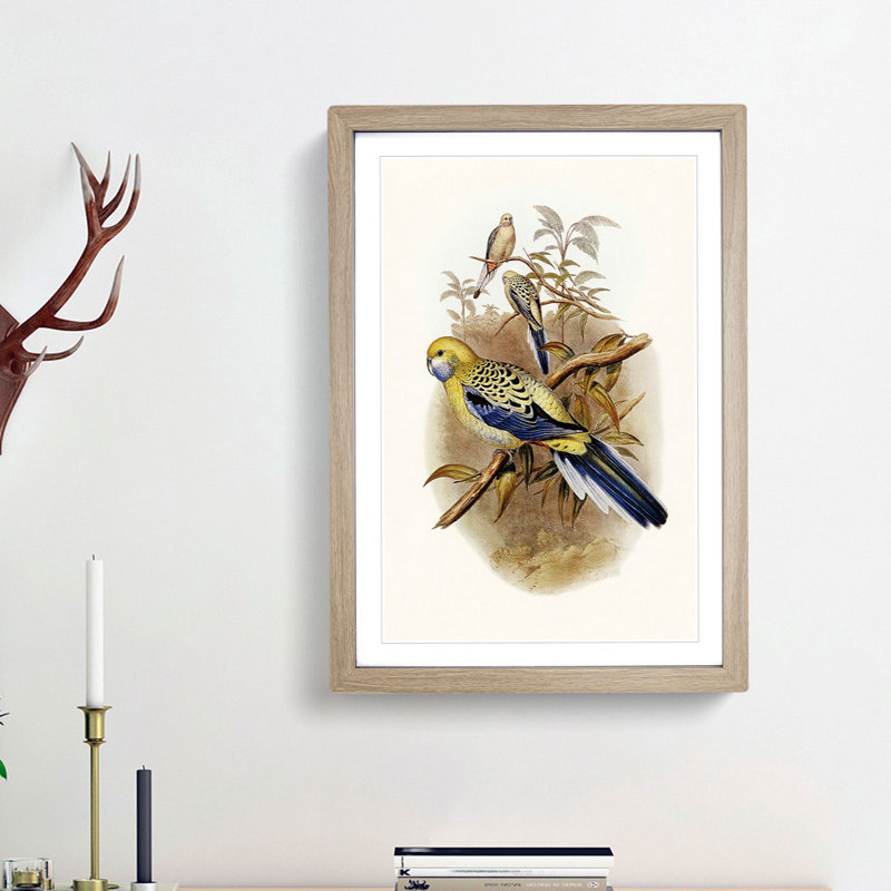Blue Cheeked Parakeet by Elizabeth Gould - Picture Frame Painting Print, 36cm H x 27cm W x 2cm D, Oak Framed