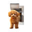 Iron Pet Door-562286679