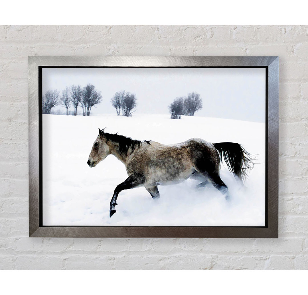 Stallion In The Snow - Druck