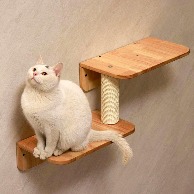  Ensemble de tablettes pour chat, meubles muraux pour chat