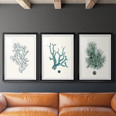Antique Coastal Coral IV - reproduction sur mesure encadrée de qualité supérieure - 3 pièces