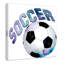 Fille de football 1-48188678-48188675