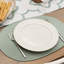Polyester No Pattern Placemat