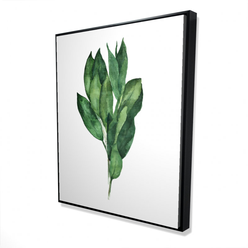 Bay Leaves Bundle Print On Canvas