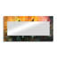 Fougère et couleurs tropicales Synergy I - art mural miroir de fougères - imprimé sur métal-1082985416