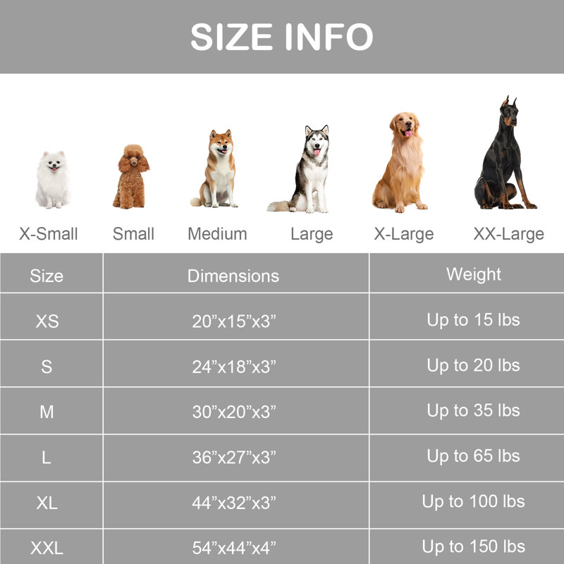  Lit pour chien rectangulaire, H 3 po x l 30 po x P 20 po