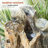 Outdoor Weather Resistant Floor Fountain with Light-1428937424