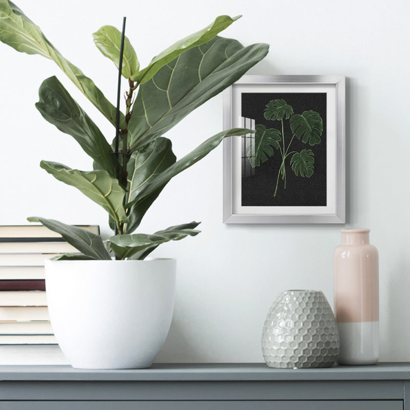 Koltay -Gallery Wrapped Canvas
