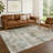 Machine Washable Indoor/Outdoor Kerwin ACN2370 Abstract Rug-1853452248