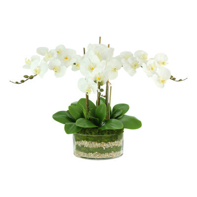 Polysilk Orchid Arrangement in Vase