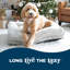 La-Z-Boy Rosie 36X28 Lounger Dog Bed, Cream-108857059-108857064