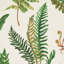 Les Fougeres Fabric-35102828