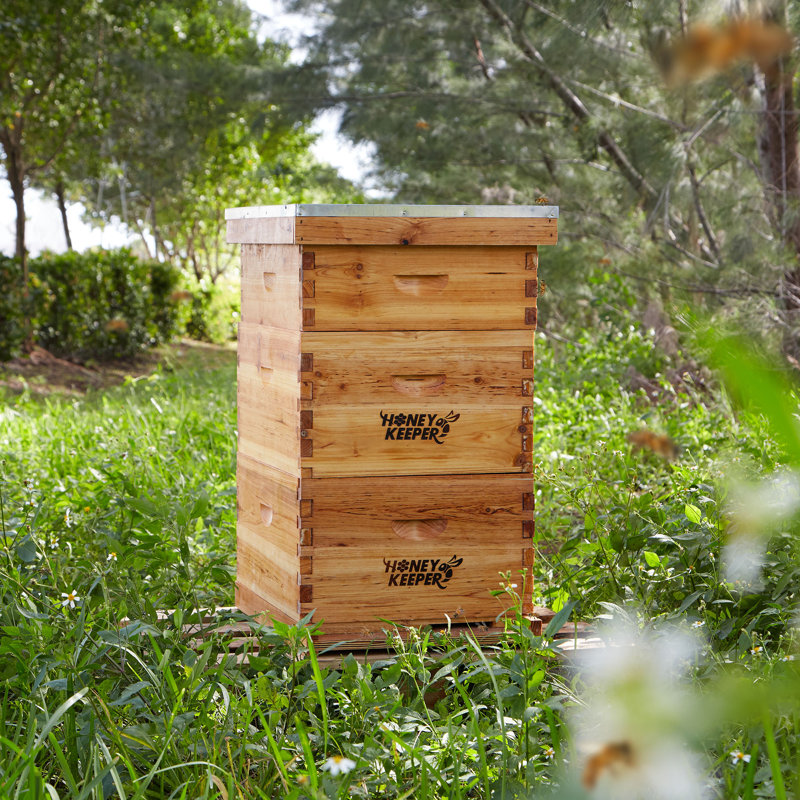 Honey Keeper 3-Tier Wooden Beehive Kit with Waxed Foundations