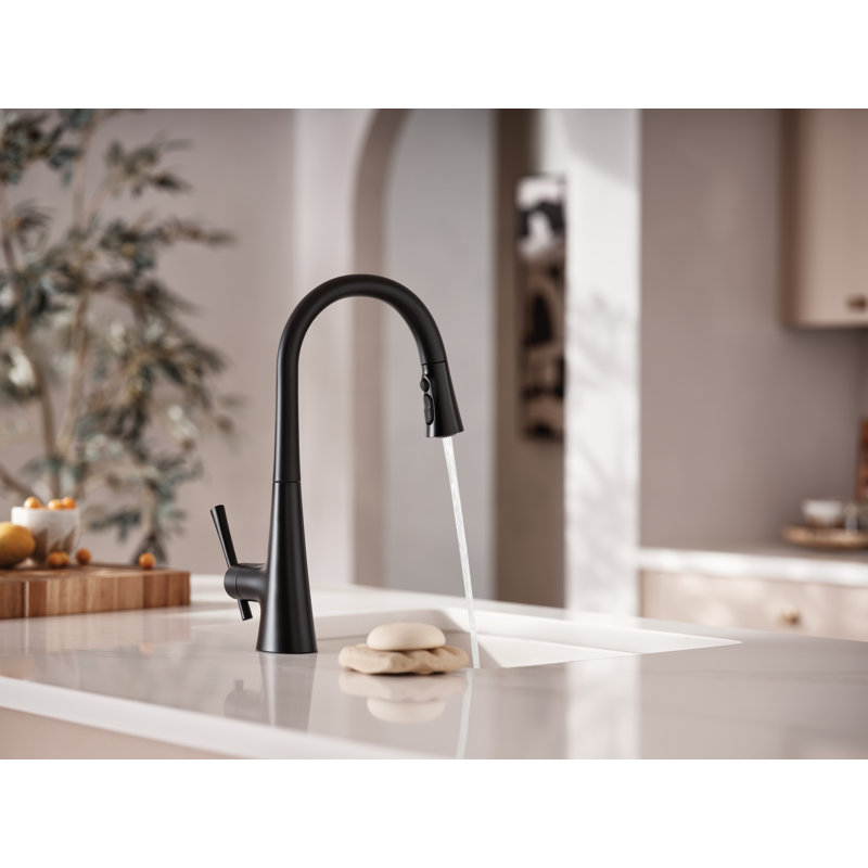 Robinet de cuisine à poignée simple Moen Kurv avec technologie Power Clean, Noir mat, Standard