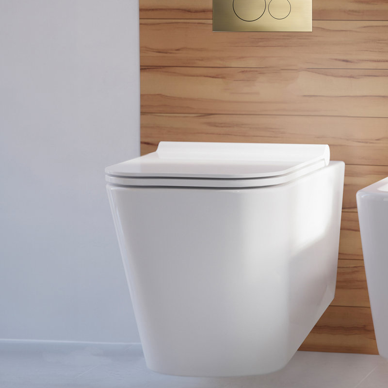 Ensemble de toilette à double chasse avec plaque de chasse 0,8 / 1,6 GPF Concorde, Blanc brillant / laiton