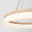Luminaire suspendu à 1 lumière DEL-64533504
